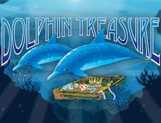 Dolphin Treasure logo