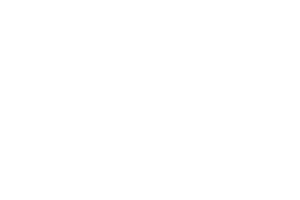 Onlyplay logo