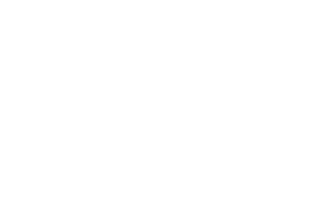 Reel Time Gaming logo