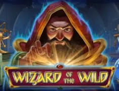 Wizard of the Wild logo