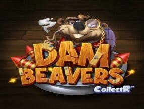 Dam Beavers