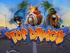 Top Dawgs logo